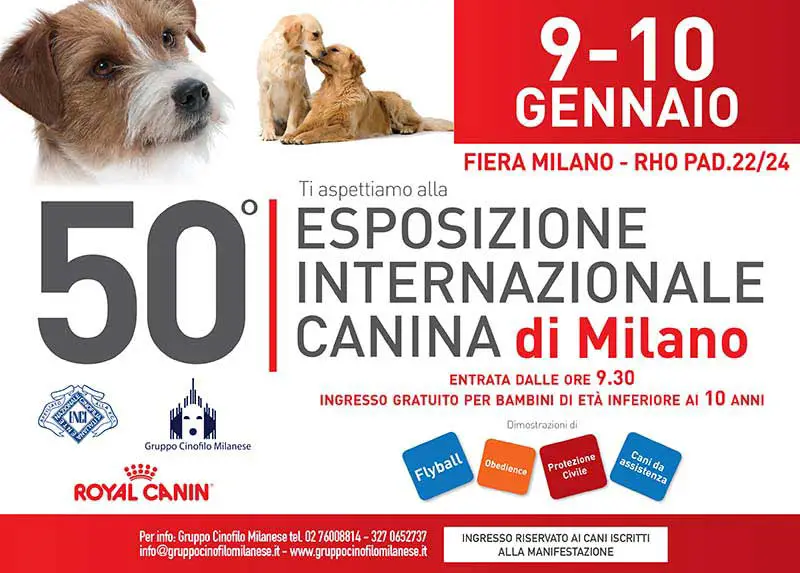 Esposizione Internazionale Canina