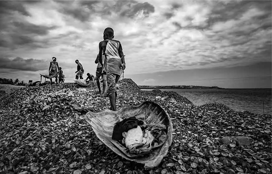 Mostra Joo Coelho. Riding the turtles Milano