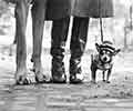 Mostra Elliott Erwitt. Family Milano